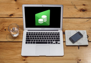 Mobile application to help accountants get information on client's incoming and outgoing payments, built for Android and iOS